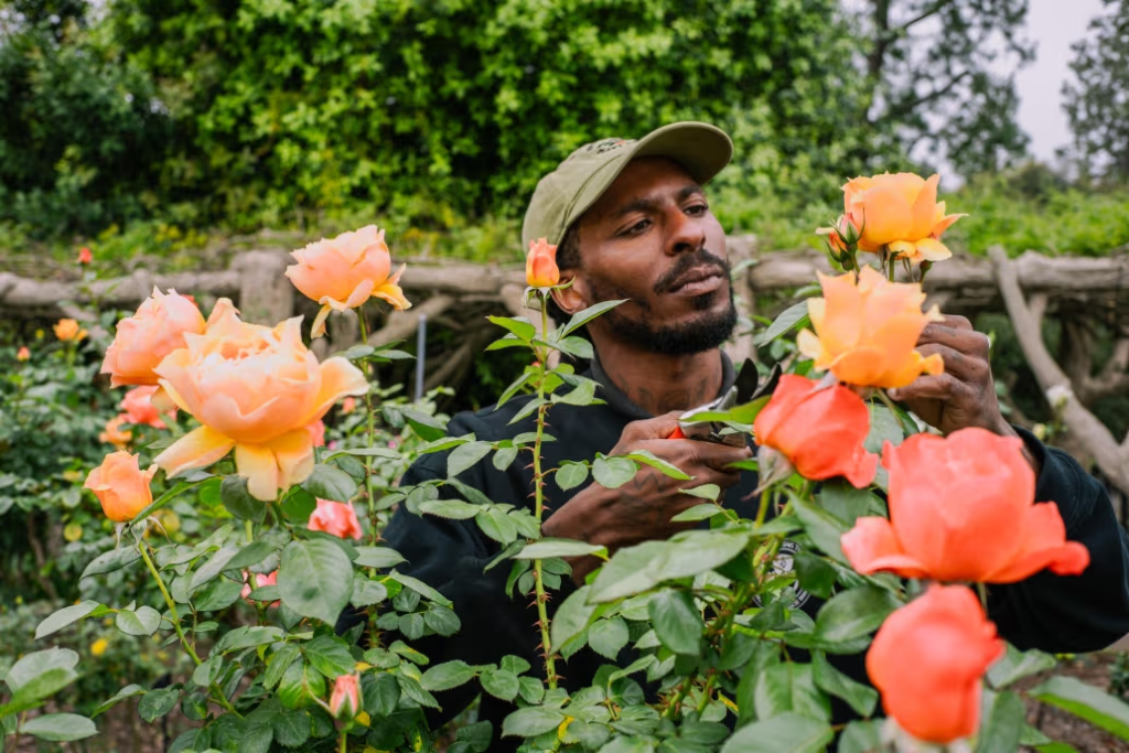gardener caring for plants symbolic growth mindset